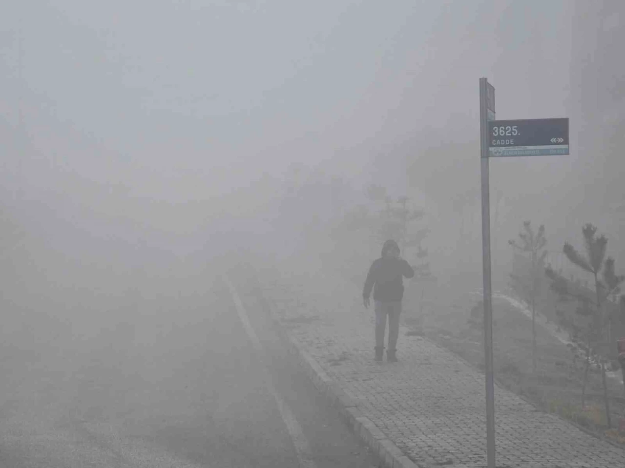 Elazığ’da yoğun sis etkili oldu, bir mahalle adeta kayboldu
