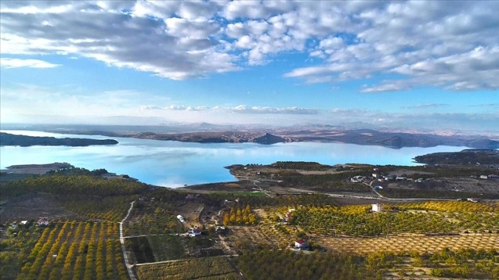 Elazığ'da 3 yılda 20 bini aşkın kayısı ağacı toprakla buluşturuldu