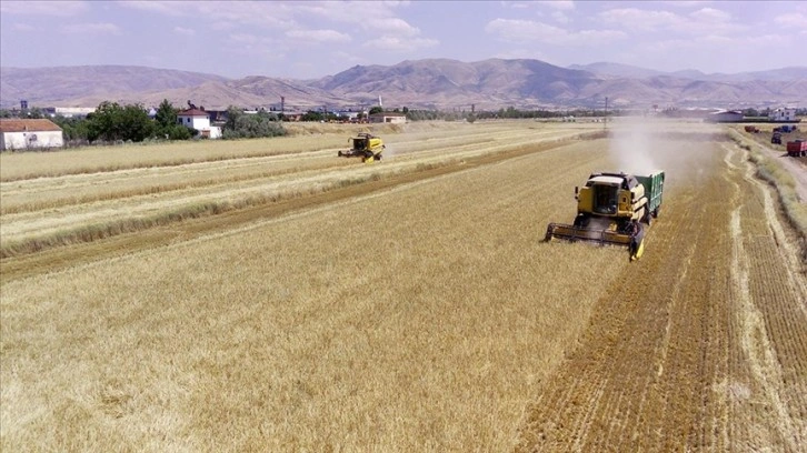 Elazığ'da son yılların en yüksek arpa ve buğday rekoltesi bekleniyor