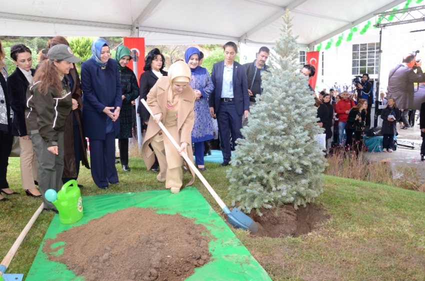 Emine Erdoğan öğrencilerle fidan dikti