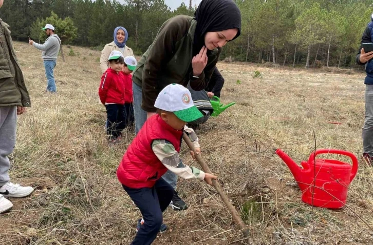 Emet’te fidan dikim etkinliği
