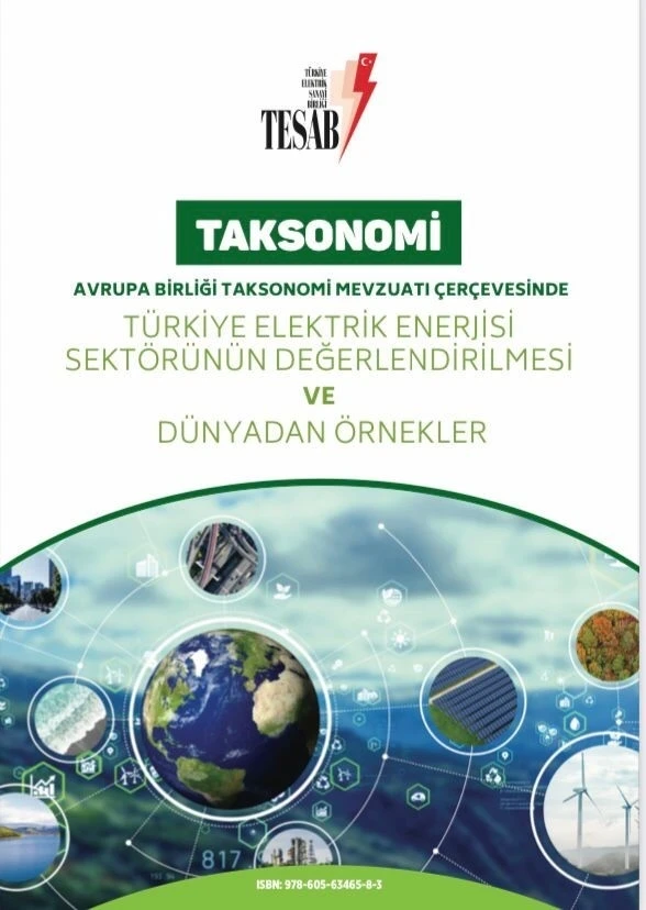 Enerji sektöründe ilk niteliği taşıyan kitabı "Taksonomi" yayımlandı
