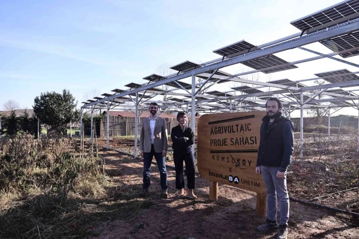 EnerjiSA Üretim, Komşuköy iş birliğiyle agrivoltaik tarıma başlıyor
