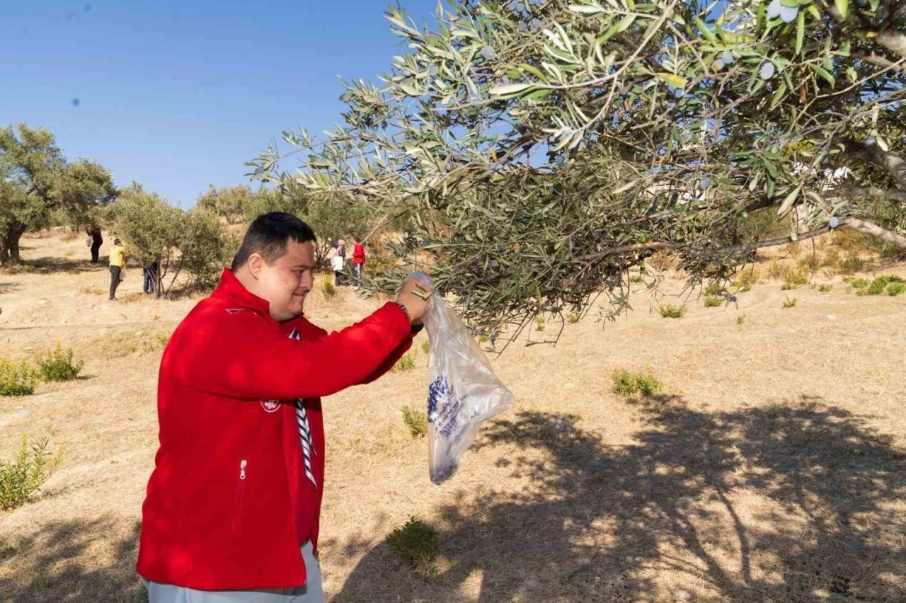 Engelli bireyler zeytin hasadı sayesinde sosyalleşti
