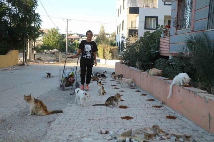 Enkaz kentin kedilerinin Gürcü annesi
