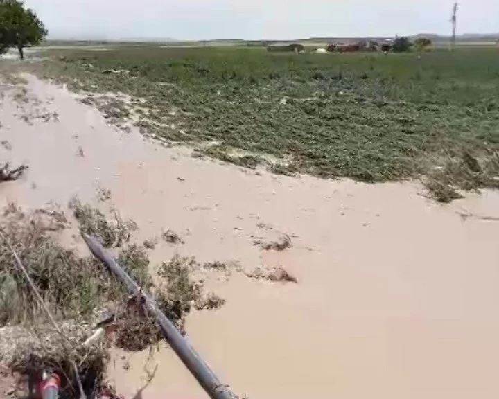 Ereğli’de dolu ve sel çiftçiyi vurdu
