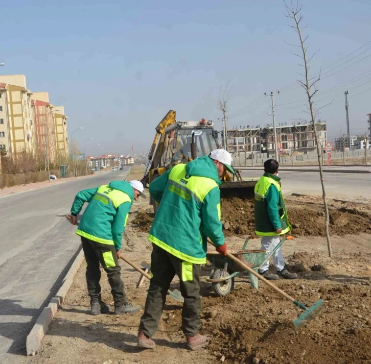 Ereğli’de park ve bahçelere gül dikimi
