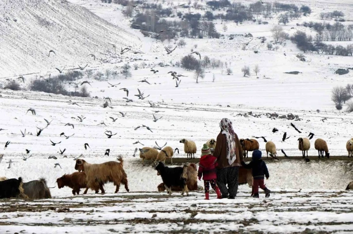 Erzincan’da “Köyümde Yaşamak İçin Bir Sürü Nedenim Var" projesi ile 179 üretici hayvan varlığını artırdı
