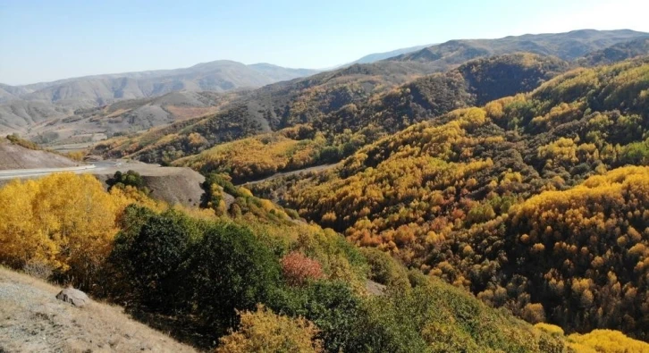 Erzincan’da sonbaharda renk cümbüşü
