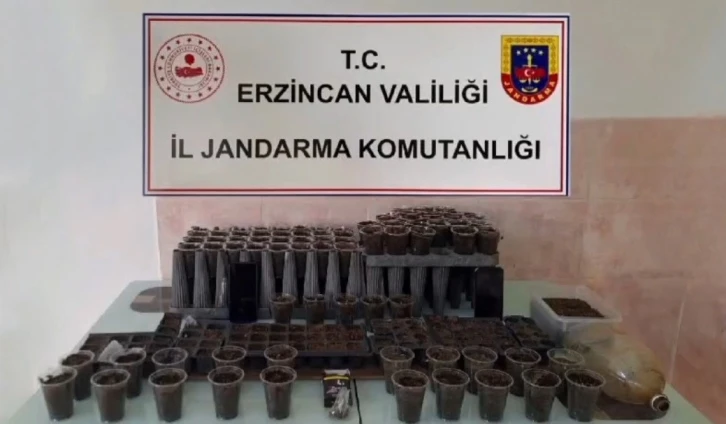 Erzincan’da uyuşturucu operasyonu: 1 kişi tutuklandı
