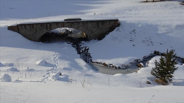 Erzurum, Kars ve Ardahan'da soğuk hava etkisini sürdürüyor