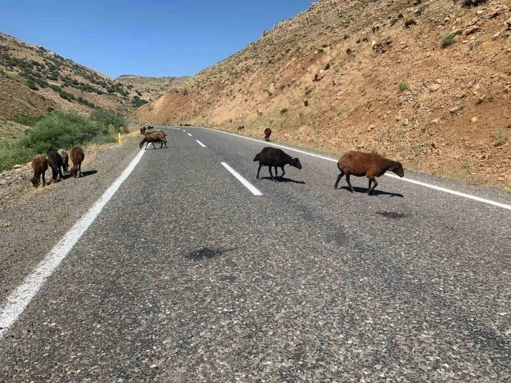 Erzurum Valiliğinden ceza açıklaması
