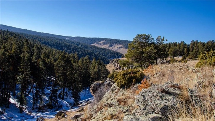 Erzurum'daki Arabakırığı Kanyonu bozulmamış doğasıyla dağcıların rotasında