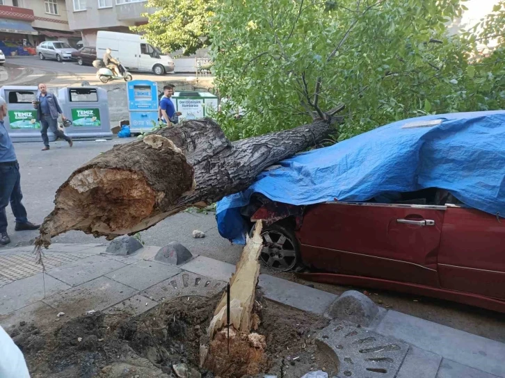 Esenler’de ceviz ağacı 2 aracın üstüne devrildi
