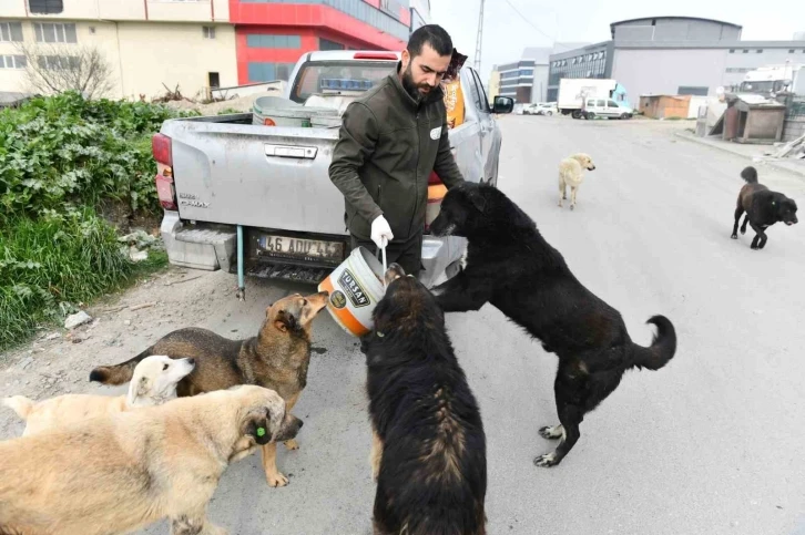 Esenyurt Belediyesi sokak hayvanlarına mama ve su desteğini sürdürüyor
