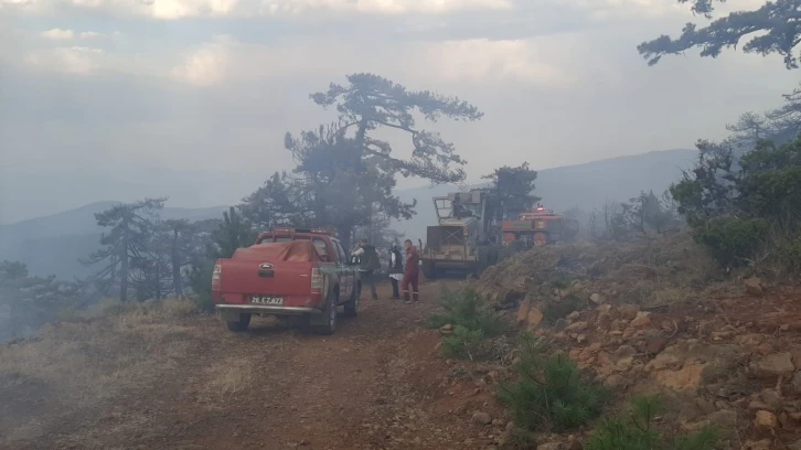 Eskişehir’de çıkan orman yangını kontrol altına alındı
