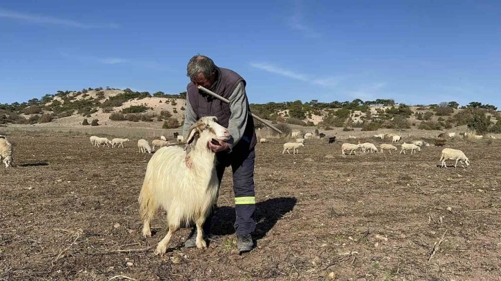 Evladı gibi gördüğü hayvanları seslenerek yanına çağırabiliyor
