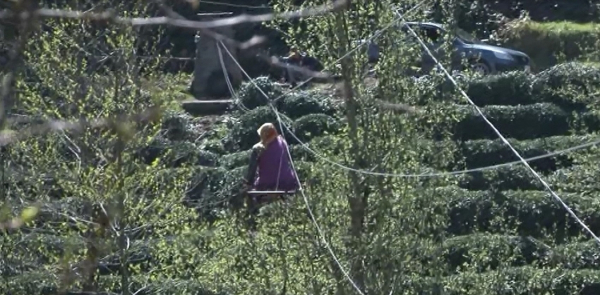 15 yıldır evlerine teleferikle gidiyorlar