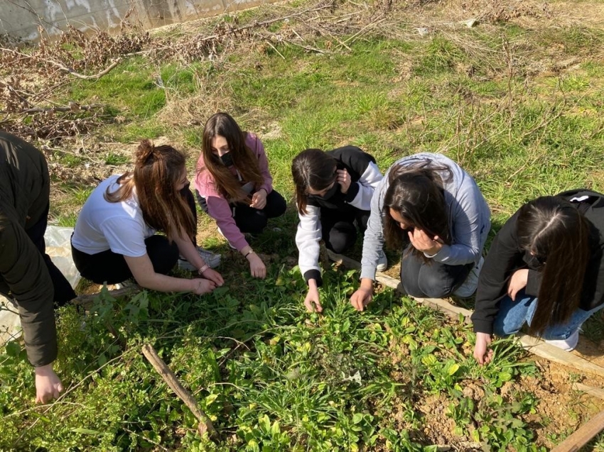 Öğrenciler ‘e-Twinning’ projesi ile endemik bitkileri tanıyor