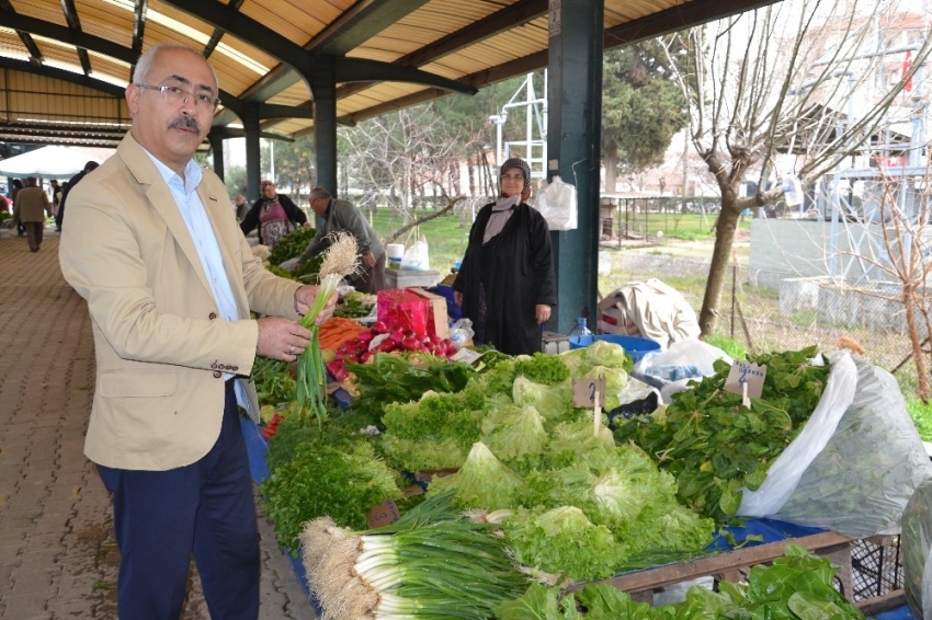 Korana virüsü salgınına karşı virüs savar bitkiler