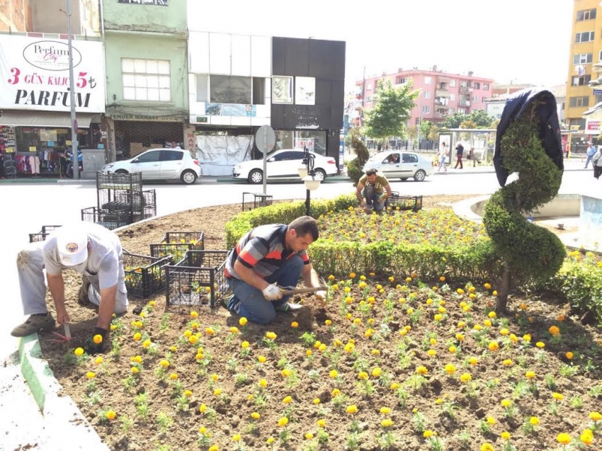 Gemlik çiçek açıyor