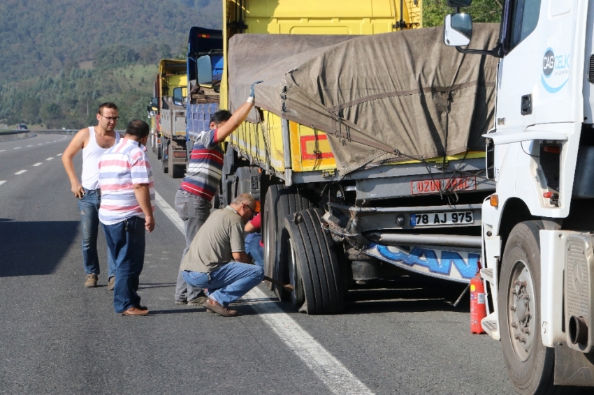 Kamyona giren arı kaza yaptırdı