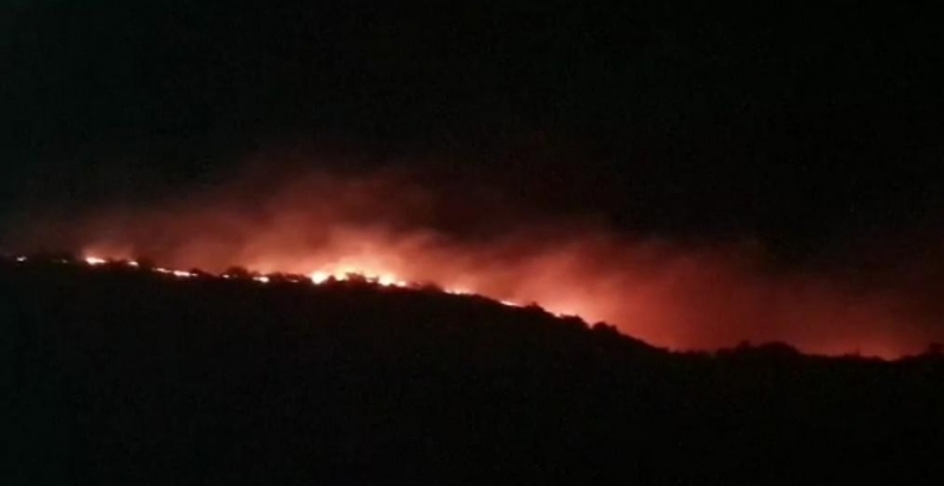 Elazığ’da orman yangını