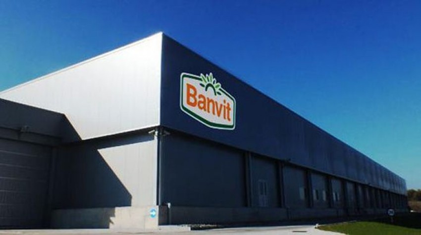 Banvit'e soruşturma açıldı