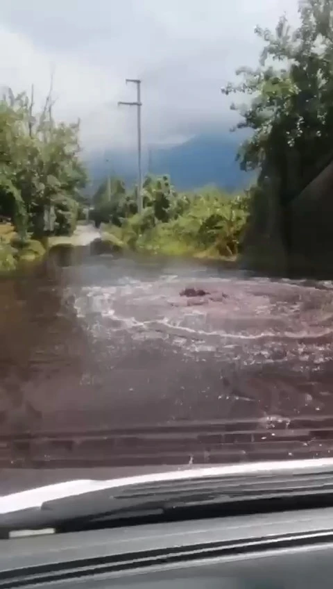 Fabrikaların zehirli atıkları armut bahçelerine aktı
