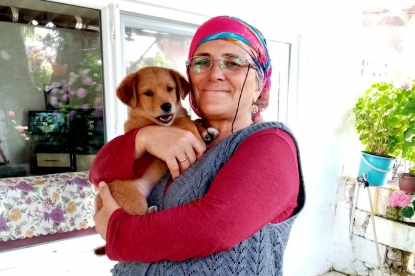 Menteşe’de çalınan köpek sahibine teslim edildi