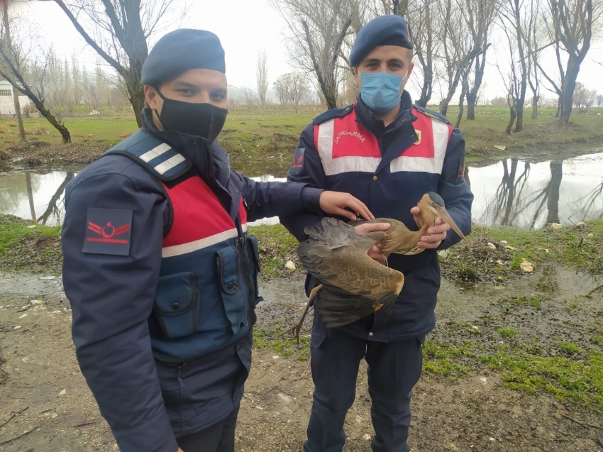 Ağaç dallarına takılan balıkçılı jandarma kurtardı