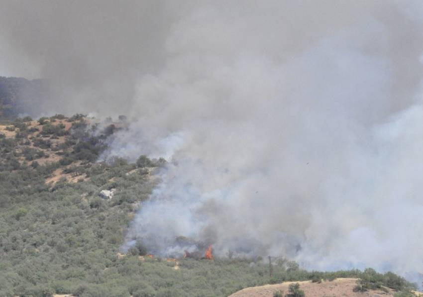 Tunceli’de orman yangını