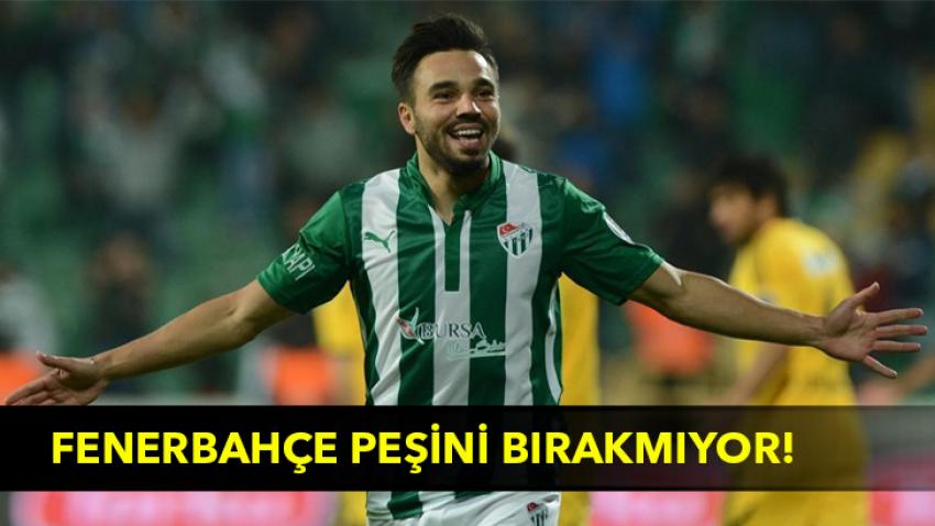 Fenerbahçe peşini bırakmıyor!