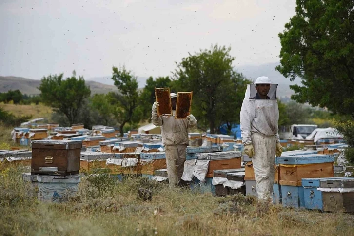 Fenni arıcılık kredi desteği
