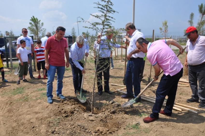 Afet evleri yeşillendiriliyor