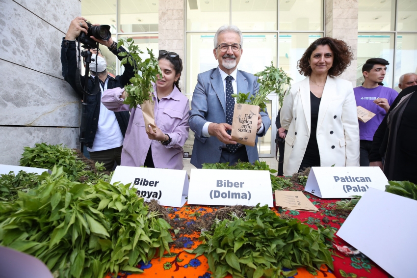 Nilüfer Belediyesi 400 bin fide dağıtacak  