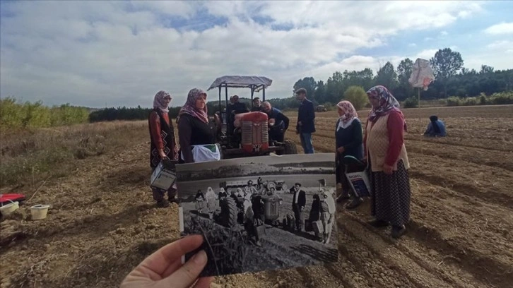 Fidanlık çalışanları 60 yıl önceki işçilerin pozunun aynısını verdi