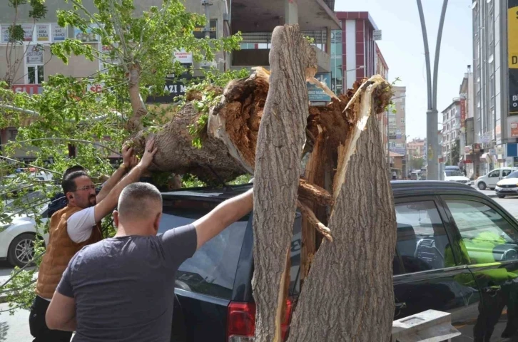 Fırtınada ağaç cipin üzerine devrildi, çatılar uçtu
