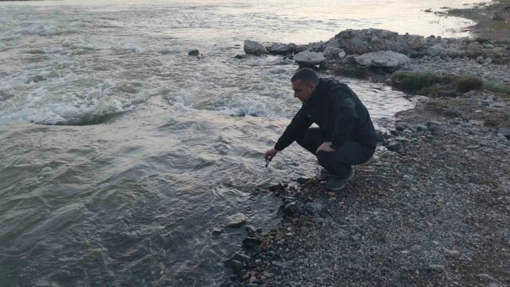 Fizyolojik uyum süreçlerini tamamlayan Van Gölü’nün incilerinin zorlu yolculuğu başladı
