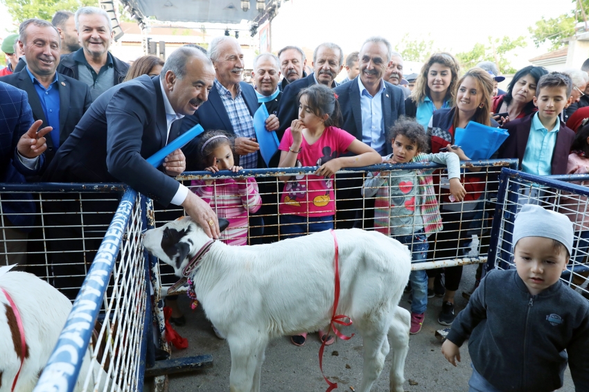 Mudanya'da süt ve süt ürünleri şenliği!