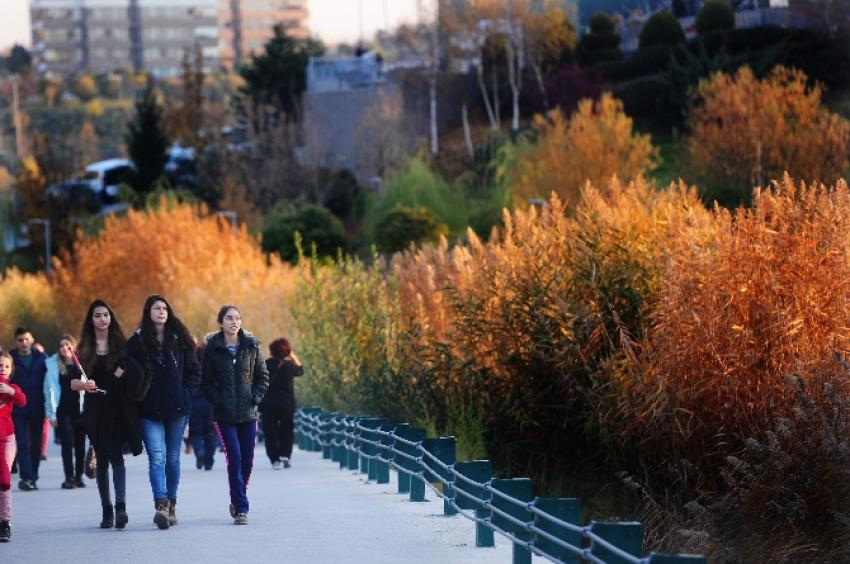 Ankara'dan güz manzaraları