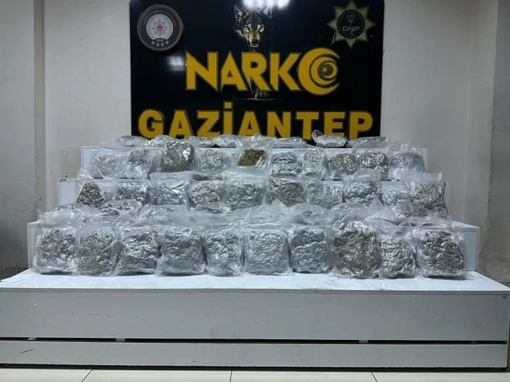 Gaziantep’te 24 kilo skunk ele geçirildi
