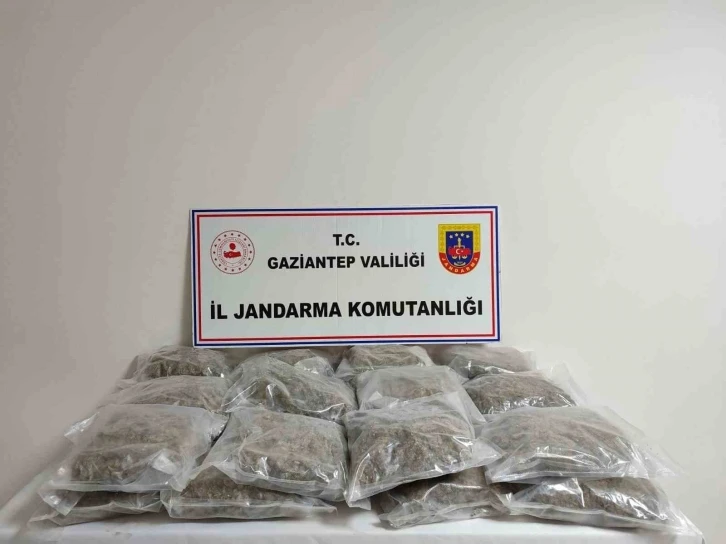 Gaziantep’te 32 kilogram skunk ele geçirildi
