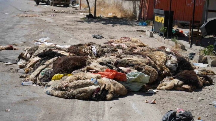 Gaziantep’te mide bulandıran görüntüler
