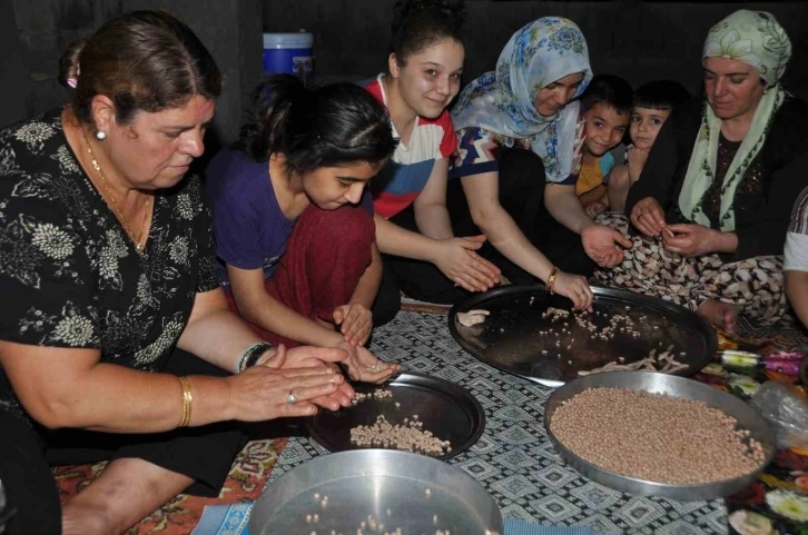 Gaziantep’te yuvalama zamanı
