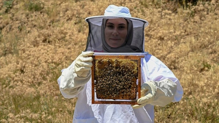 Genç kadın girişimci, 5 kovanla başladığı arıcılıkta siparişlere yetişemiyor