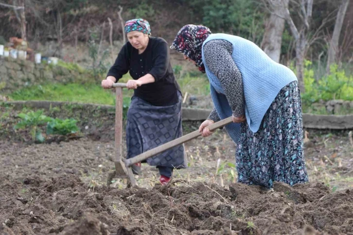 Gençler tarlaya girmiyor
