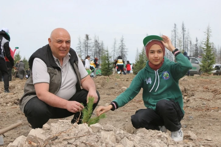 Gerede’de yanan ormanlık alan küllerinden yeniden doğuyor
