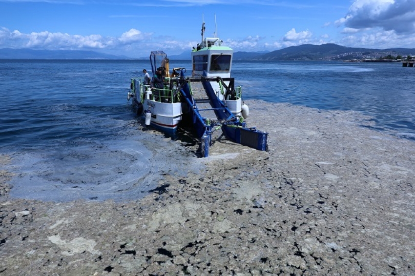 Bursa'da çevre felaketi ekonomi için fırsat olabilir