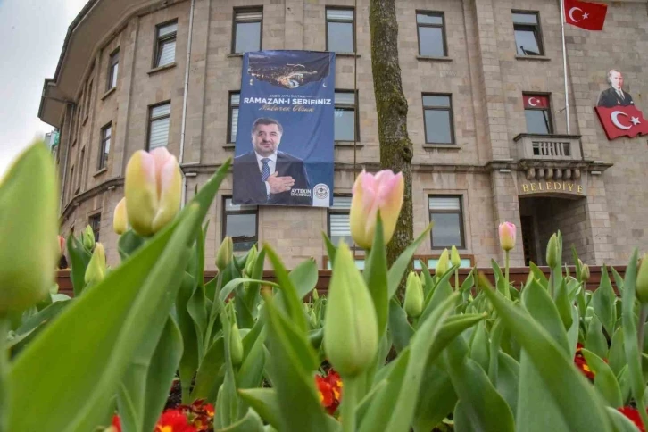 Giresun çiçeklerle renklendi
